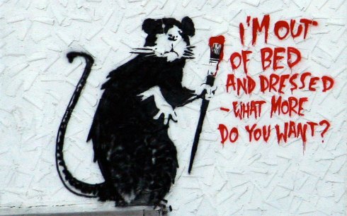 wallpapers-rat-out-of-bed-banksy-1680x1050
